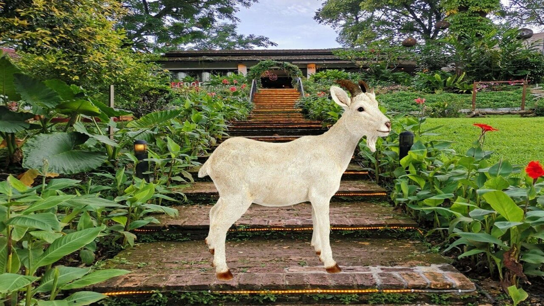 Billy Goat Ornament Garden Resin Statue Home Decor Figurine Large 49x49cm