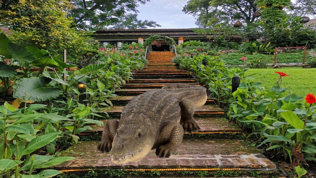 Crocodile Garden Ornament Resin Realistic Statue Home Decor Lifelike XL 62cm