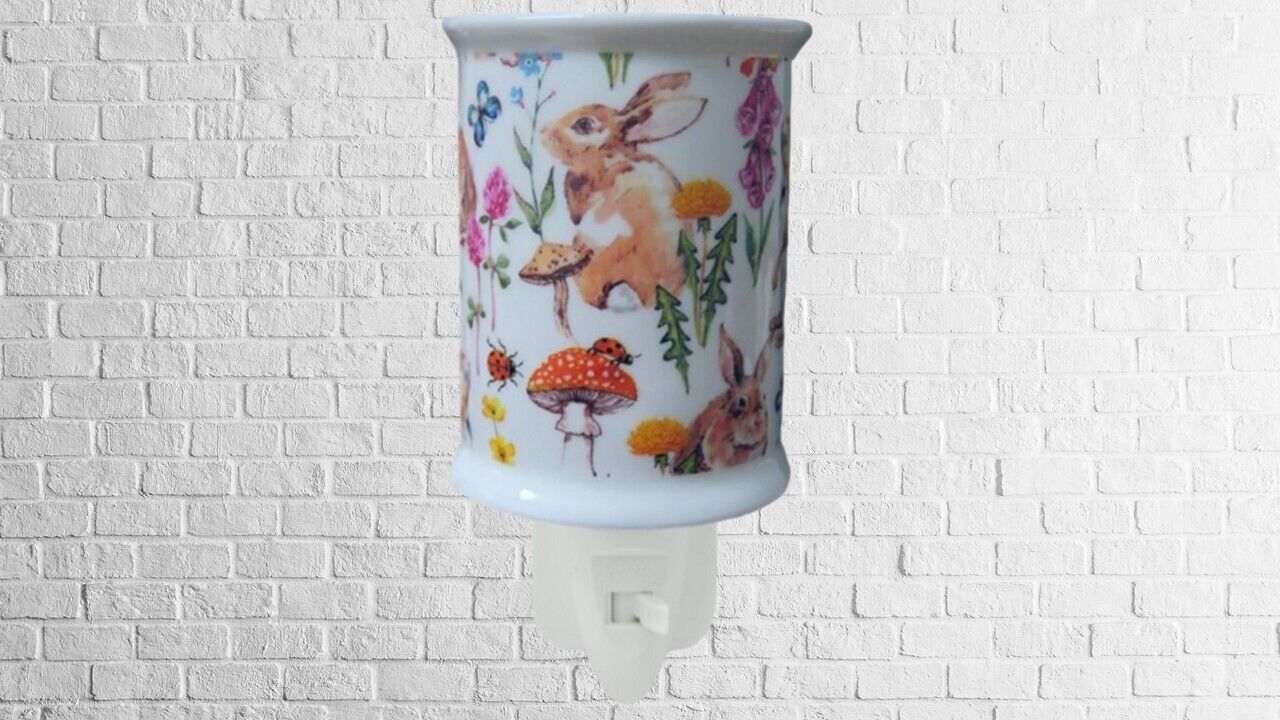 Hedgerow LED Night Light China Electric Uk Plug in On/Off Switch Ceramic Floral