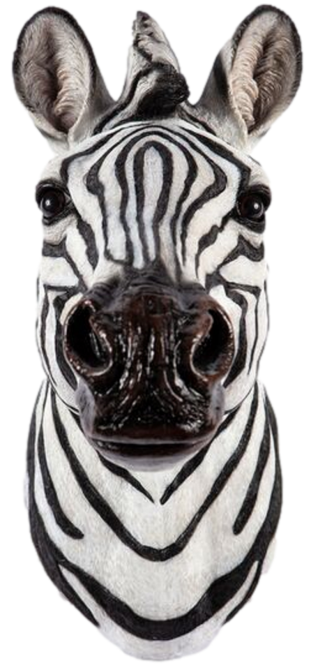 Zebra Head Garden Wall Mounted Ornament Resin Decoration In or Outdoor 42 x 38cm