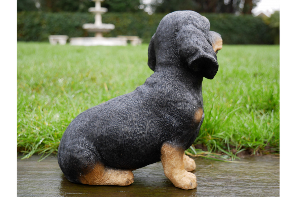 Dachshund Garden Ornament Sausage Dog Black &amp; Tan Novlety Home Garden Resin 22cm