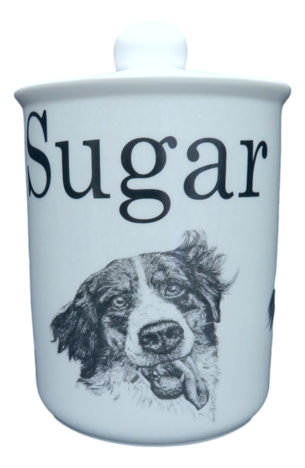 Tea Coffee Sugar Canister Storage Collie Dog Jar Fine Bone China Black &amp; White